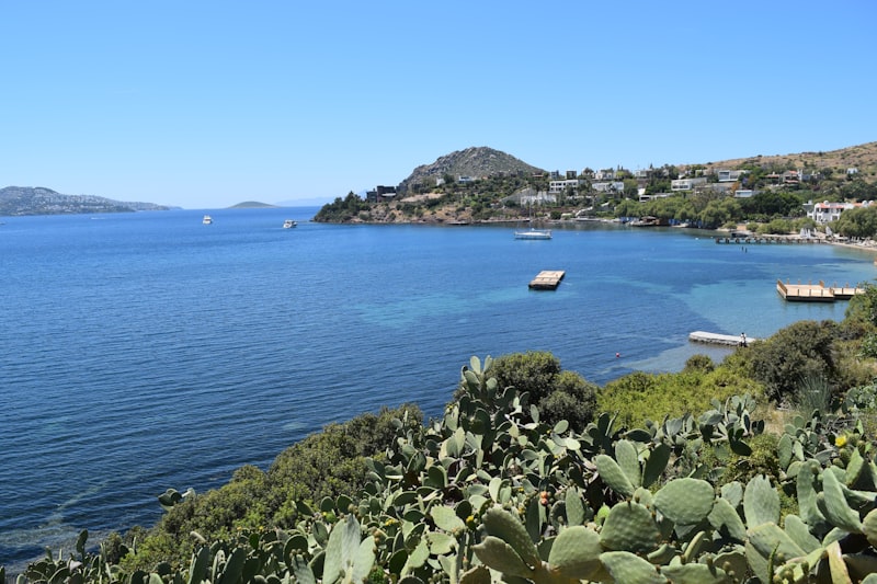 A body of water surrounded by a lush green hillside